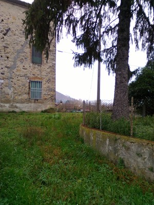 Rustico e Colonica Vendita Capannori (LU)