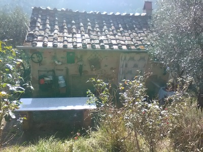 Capanna / Fabbricato rurale Vendita Capannori (LU)