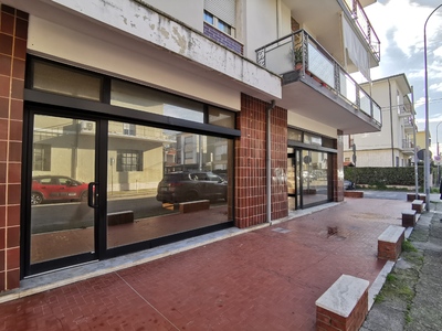 Fondo Commerciale/Artigianale Vendita Viareggio (LU)
