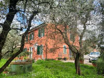 Villetta a Schiera/Bifamiliare Vendita Montecarlo (LU)