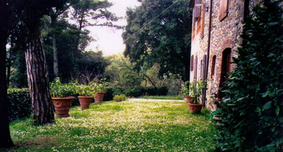 Rustico e Colonica Vendita Lucca - Direzione Ovest